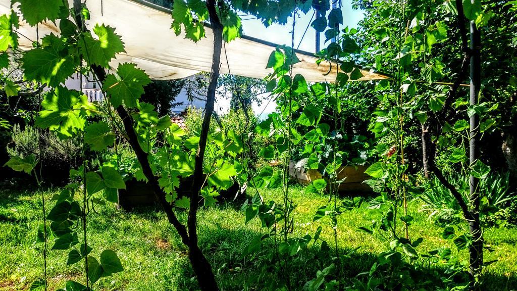 Stressfree Villa Ičići Buitenkant foto
