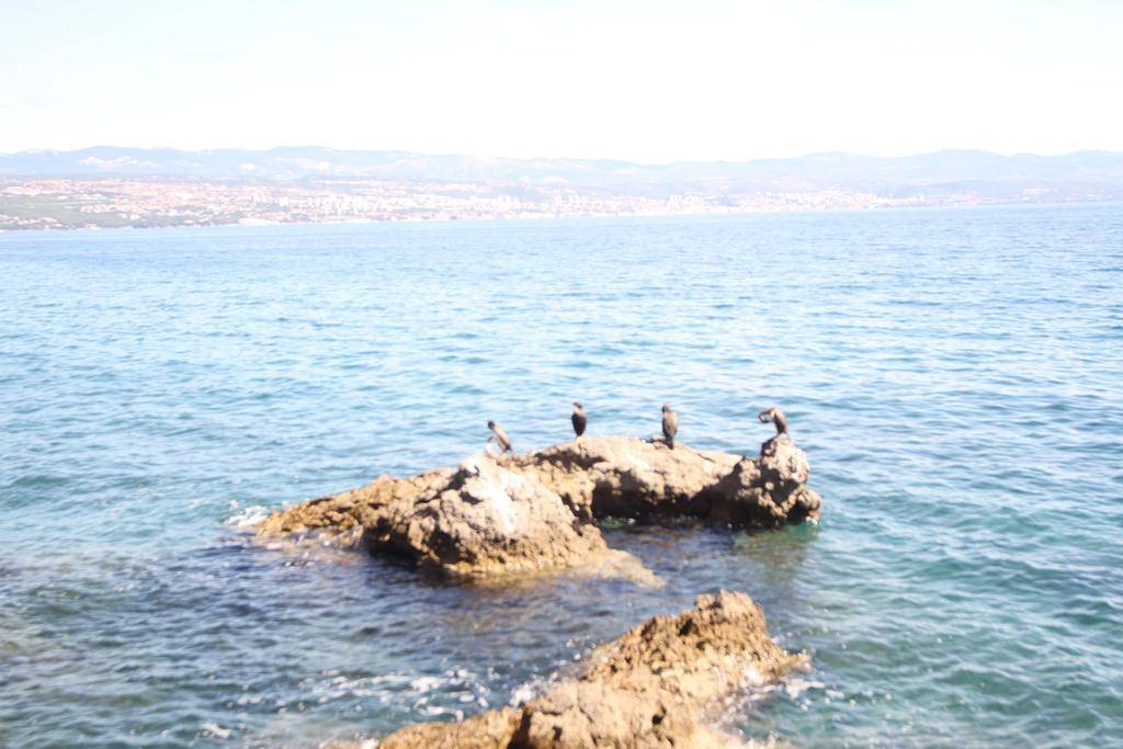 Stressfree Villa Ičići Buitenkant foto